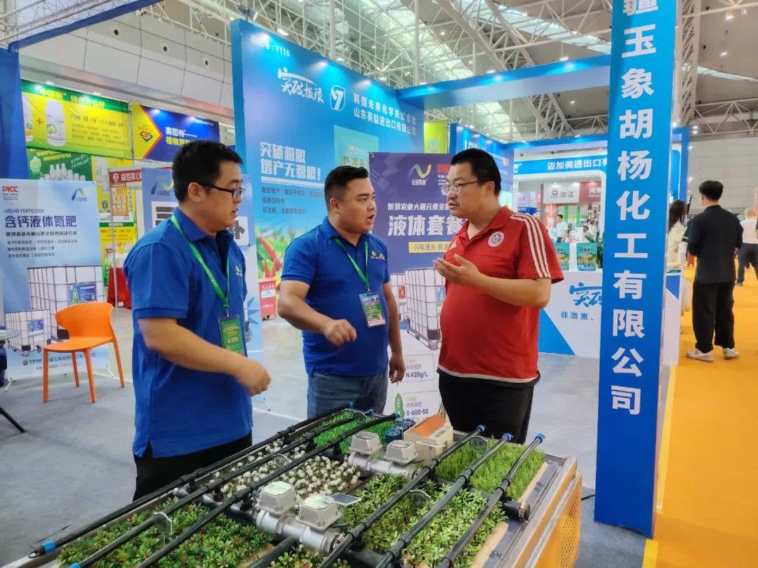 1755222720357120.jpeg 丝路雪峰2.jpeg